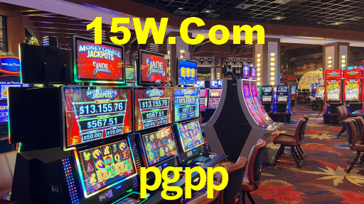 pgpp,pgpp.com