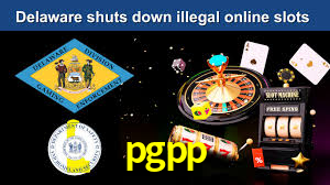 pgpp App Interface
